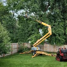 Sebastian, FL Tree Care Company